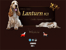 Tablet Screenshot of lanturn.pl
